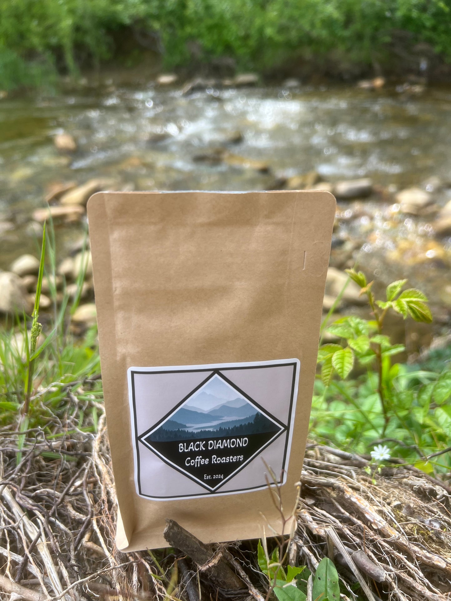 Colombia - Light Roast