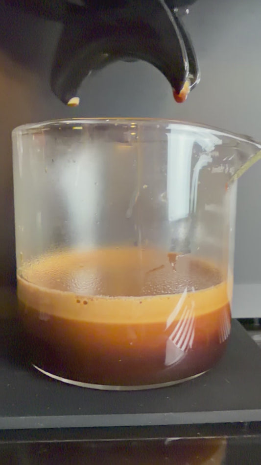 5 lbs. Espresso Blend